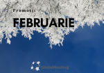 promotiile-lunii-februarie-globehosting