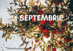 promotii septembrie globehosting.ro