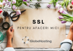 ssl-afaceri-mici-globehosting