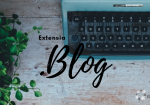 Extensia blog